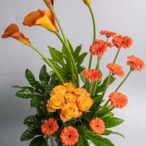 Wonderful Wishes