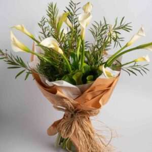 White Calla