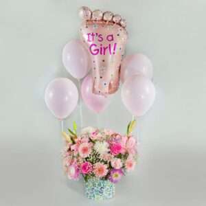 Welcome Baby Girl