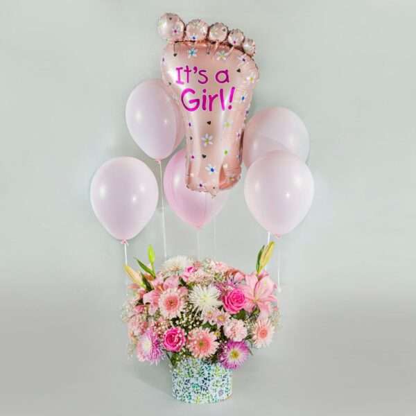 Welcome Baby Girl