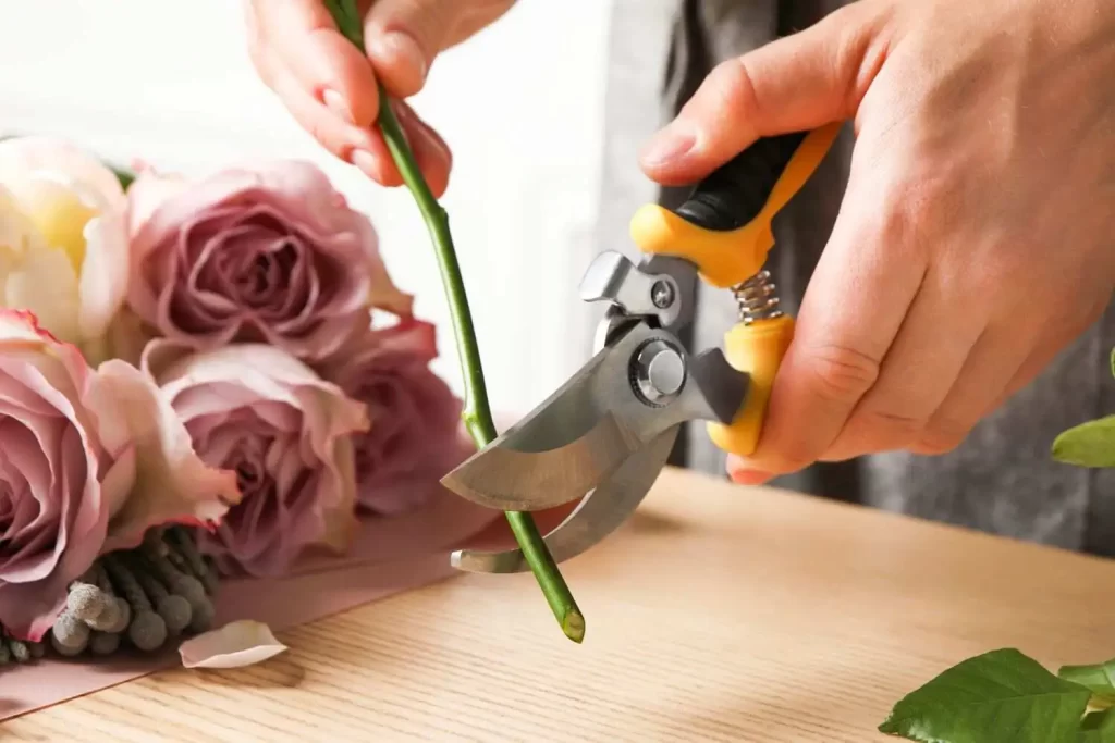 Trim the stem of fresh flowers